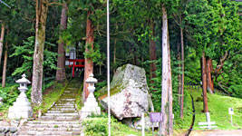 鳴尾熊野神社とさかさ杉