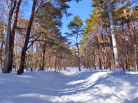 冬の四阿山登山道