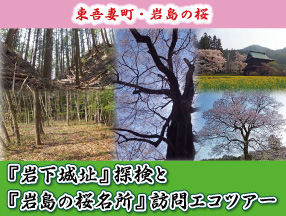 岩下城址と岩島の桜エコツアー